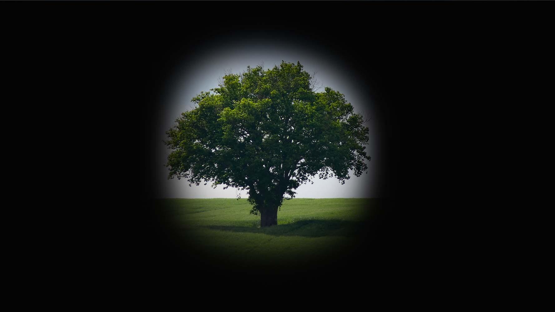 Glaucoma Vision